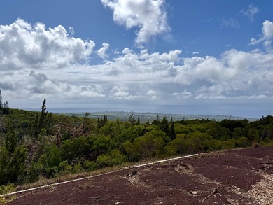 Located near the top of the Kahana Ahupua'a in West Maui, this - photo 19