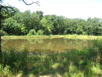 (private lake, pond, creek) Acreage For Sale in Garvin Oklahoma