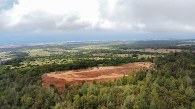 Located near the top of the Kahana Ahupua'a in West Maui, this - photo 21