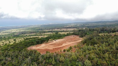 Located near the top of the Kahana Ahupua'a in West Maui, this - photo 22