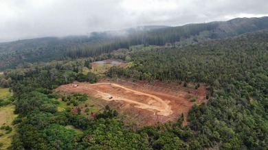 Located near the top of the Kahana Ahupua'a in West Maui, this - photo 23