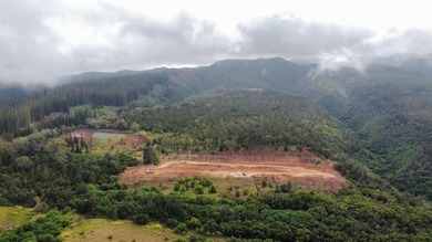 Located near the top of the Kahana Ahupua'a in West Maui, this - photo 24