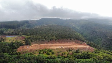 Located near the top of the Kahana Ahupua'a in West Maui, this - photo 25