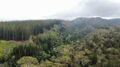 Located near the top of the Kahana Ahupua'a in West Maui, this - photo 26