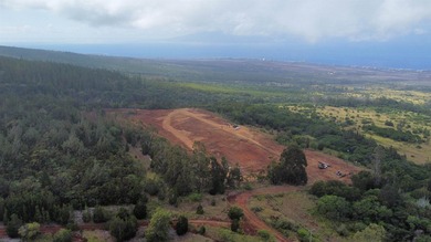 Located near the top of the Kahana Ahupua'a in West Maui, this - photo 27