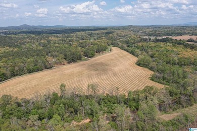 NEW LISTING! THIS IS IT! Picturesque Country Estate that Checks - photo 29