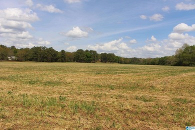NEW LISTING! THIS IS IT! Picturesque Country Estate that Checks - photo 31