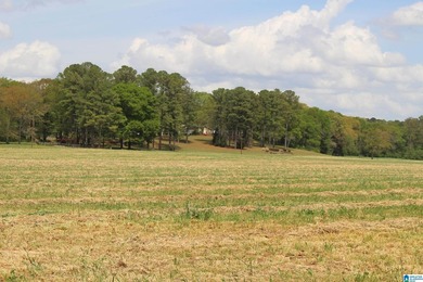 NEW LISTING! THIS IS IT! Picturesque Country Estate that Checks - photo 32