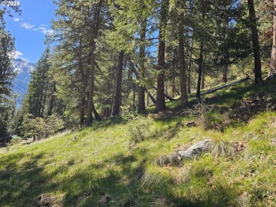 Lake Lot For Sale in Joseph, Oregon