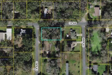 Lake Lot For Sale in Lake Panasoffkee, Florida