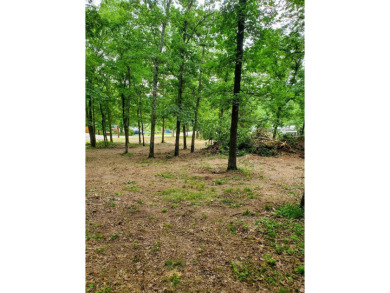 Lake Lot Sale Pending in Galena, Missouri