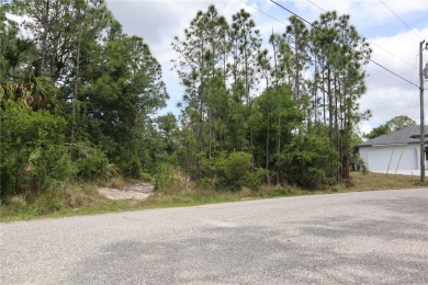 *Discover serenity on this stunning half-acre plot nestled in - photo 4