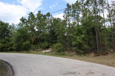 *Discover serenity on this stunning half-acre plot nestled in - photo 5