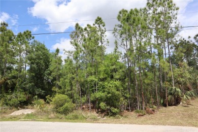 *Discover serenity on this stunning half-acre plot nestled in - photo 6