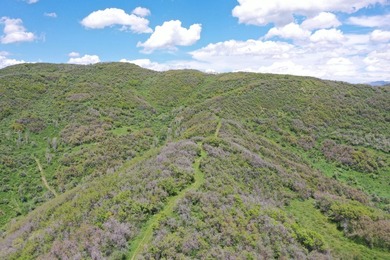 The Tow Creek Ranch is 619 +/- acres located 15 minutes west of - photo 11