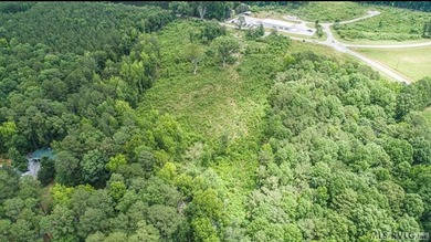 LOCATION, LOCATION, LOCATION! This prime mixed-use land sits - photo 11