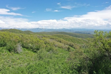 The Tow Creek Ranch is 619 +/- acres located 15 minutes west of - photo 12
