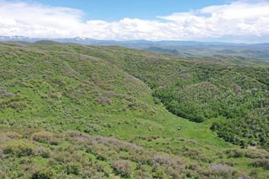 The Tow Creek Ranch is 619 +/- acres located 15 minutes west of - photo 13