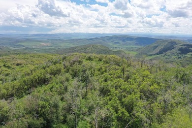 The Tow Creek Ranch is 619 +/- acres located 15 minutes west of - photo 15