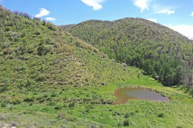 The Tow Creek Ranch is 619 +/- acres located 15 minutes west of - photo 16