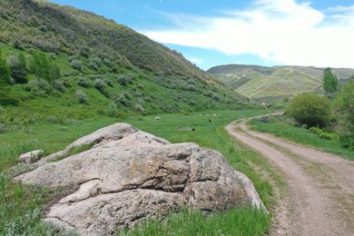 The Tow Creek Ranch is 619 +/- acres located 15 minutes west of - photo 17