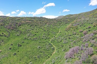 The Tow Creek Ranch is 619 +/- acres located 15 minutes west of - photo 19