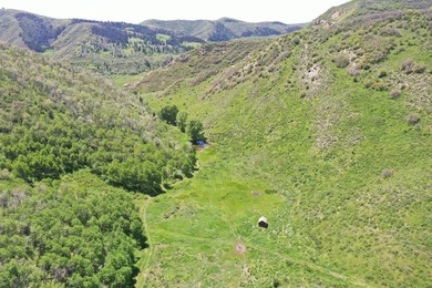 The Tow Creek Ranch is 619 +/- acres located 15 minutes west of - photo 21