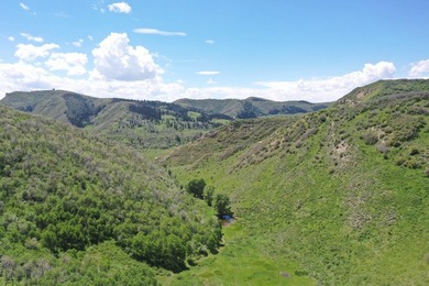 The Tow Creek Ranch is 619 +/- acres located 15 minutes west of - photo 22
