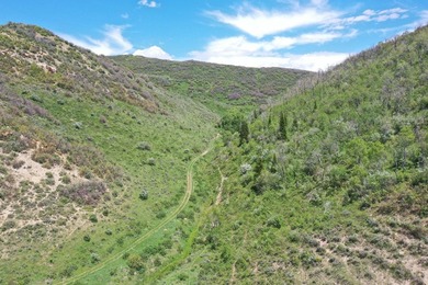 The Tow Creek Ranch is 619 +/- acres located 15 minutes west of - photo 23