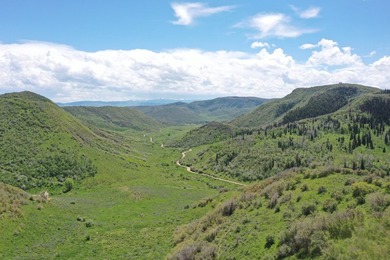 The Tow Creek Ranch is 619 +/- acres located 15 minutes west of - photo 24