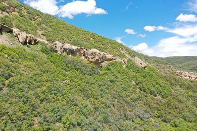 The Tow Creek Ranch is 619 +/- acres located 15 minutes west of - photo 27