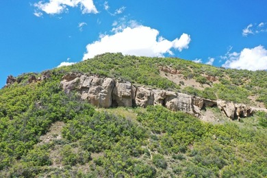 The Tow Creek Ranch is 619 +/- acres located 15 minutes west of - photo 28