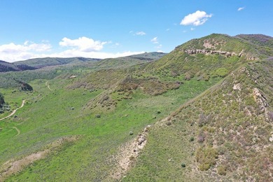 The Tow Creek Ranch is 619 +/- acres located 15 minutes west of - photo 29