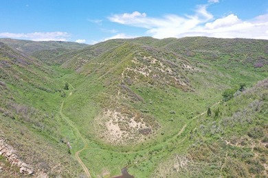 The Tow Creek Ranch is 619 +/- acres located 15 minutes west of - photo 30