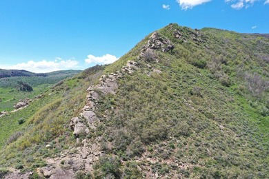 The Tow Creek Ranch is 619 +/- acres located 15 minutes west of - photo 31