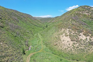 The Tow Creek Ranch is 619 +/- acres located 15 minutes west of - photo 32