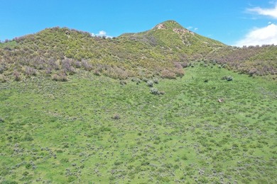 The Tow Creek Ranch is 619 +/- acres located 15 minutes west of - photo 33