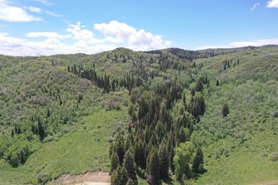 The Tow Creek Ranch is 619 +/- acres located 15 minutes west of - photo 34