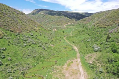 The Tow Creek Ranch is 619 +/- acres located 15 minutes west of - photo 35