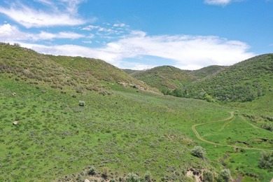 The Tow Creek Ranch is 619 +/- acres located 15 minutes west of - photo 36