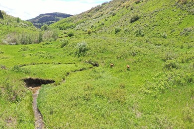 The Tow Creek Ranch is 619 +/- acres located 15 minutes west of - photo 37