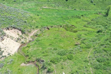 The Tow Creek Ranch is 619 +/- acres located 15 minutes west of - photo 38