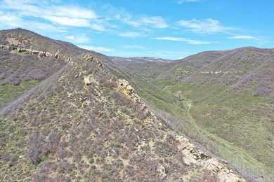 The Tow Creek Ranch is 619 +/- acres located 15 minutes west of - photo 41