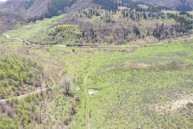 The Tow Creek Ranch is 619 +/- acres located 15 minutes west of - photo 42