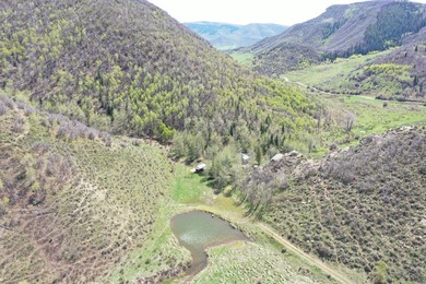 The Tow Creek Ranch is 619 +/- acres located 15 minutes west of - photo 43