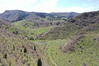 The Tow Creek Ranch is 619 +/- acres located 15 minutes west of - photo 44
