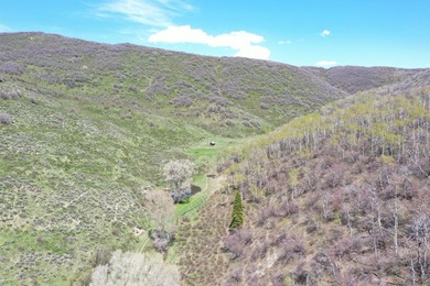 The Tow Creek Ranch is 619 +/- acres located 15 minutes west of - photo 45
