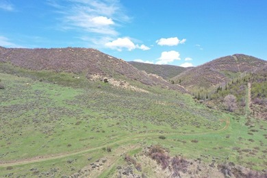 The Tow Creek Ranch is 619 +/- acres located 15 minutes west of - photo 46