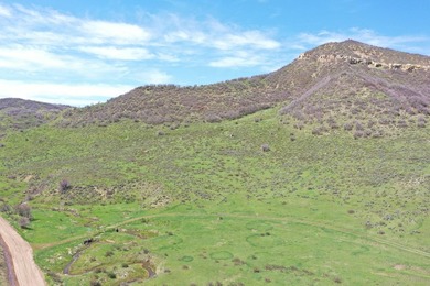 The Tow Creek Ranch is 619 +/- acres located 15 minutes west of - photo 47