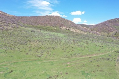 The Tow Creek Ranch is 619 +/- acres located 15 minutes west of - photo 48